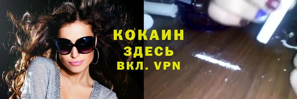 стафф Алексин