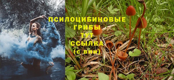 экстази Абаза